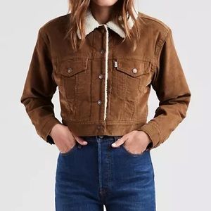 Levi’s cropped corduroy trucker jacket